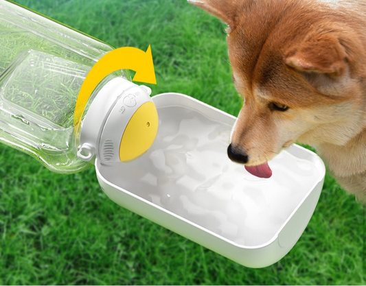 Hunde-Fütterungsflasche – Liebevolle Pflege für Ihren Welpen