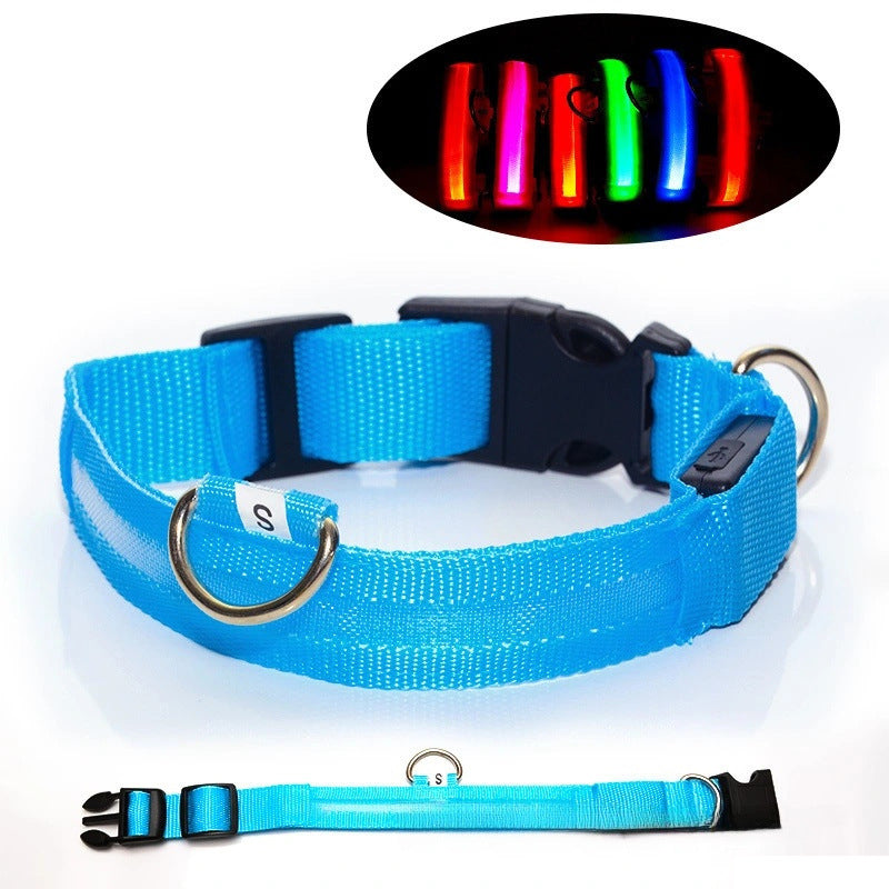 Hunde-LED-Halsband – Sicherheit und Stil für Ihren Vierbeiner