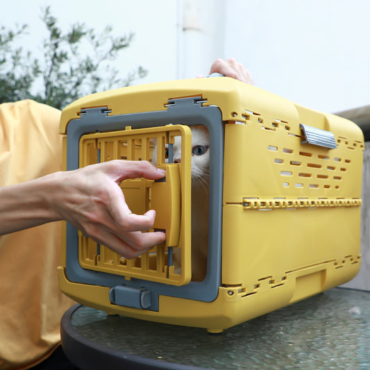 "All-in-One Reiseset für Haustiere – Sicher & bequem unterwegs mit Hund, Katze & Co!"