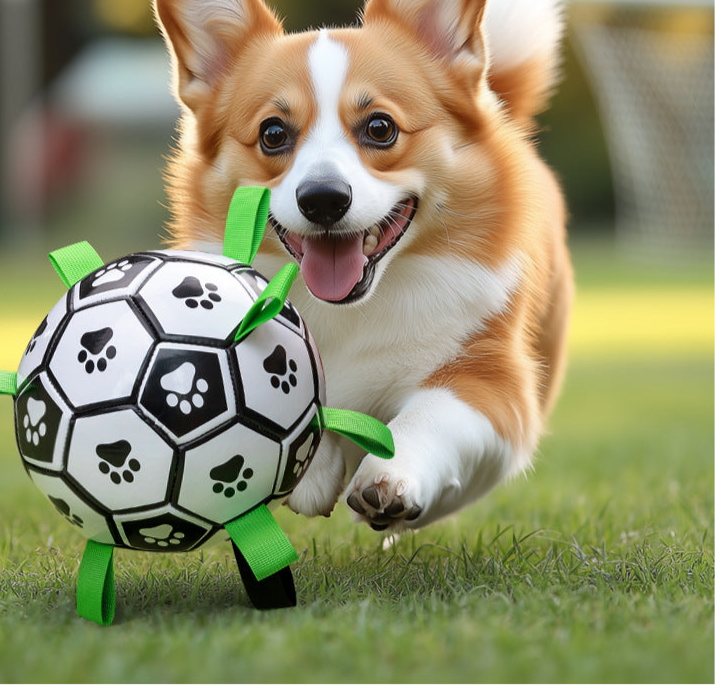 Hundespielzeugball