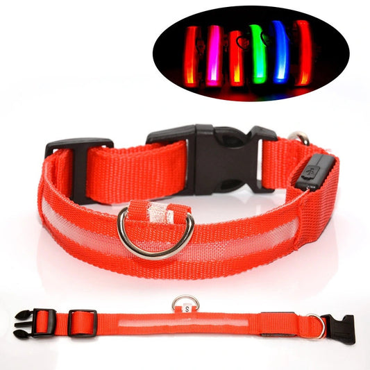 Hunde-LED-Halsband – Sicherheit und Stil für Ihren Vierbeiner