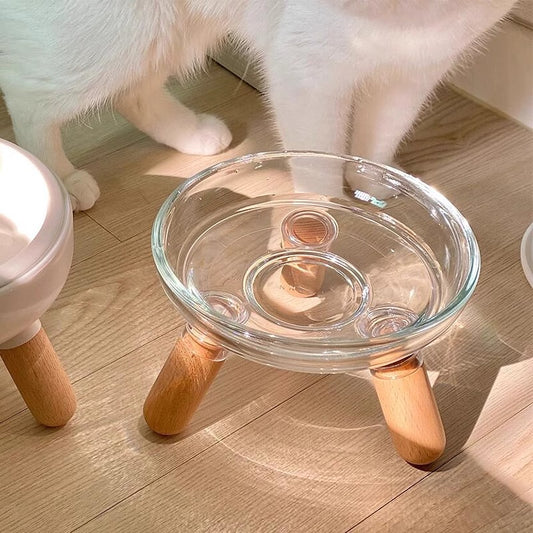 Verwöhnen Sie Ihre Haustiere mit unseren stilvollen Katzen- und Hundenäpfen