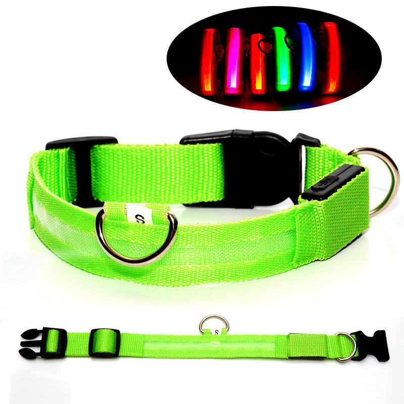 Hunde-LED-Halsband – Sicherheit und Stil für Ihren Vierbeiner