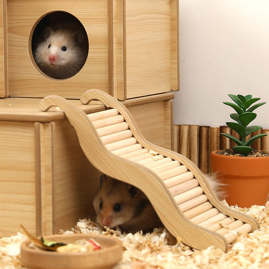 Wellen-Kletter-Hamster-Spielzeug – Abenteuer pur für Goldbären & Co.