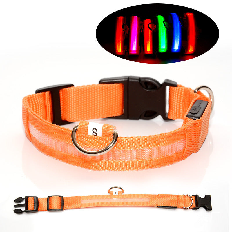 Hunde-LED-Halsband – Sicherheit und Stil für Ihren Vierbeiner