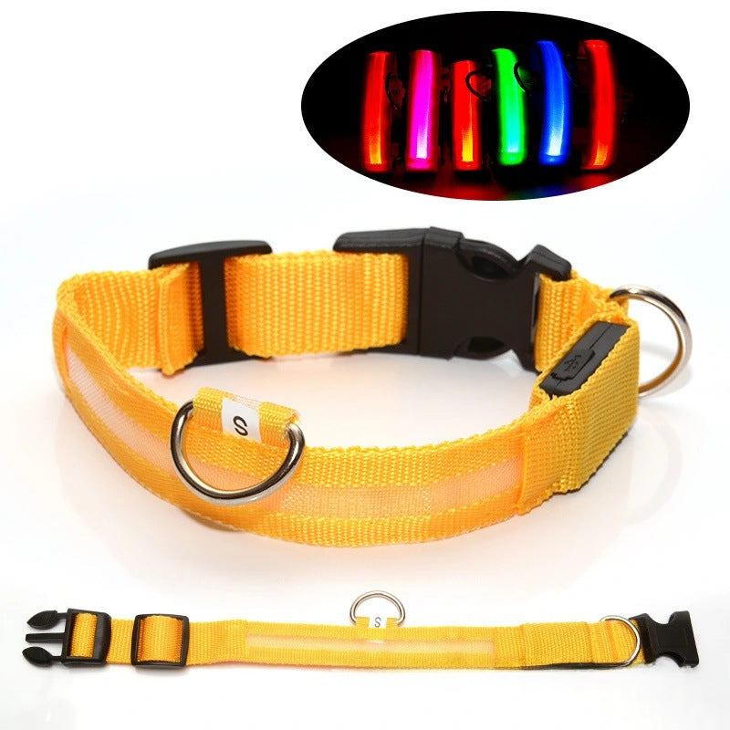 Hunde-LED-Halsband – Sicherheit und Stil für Ihren Vierbeiner
