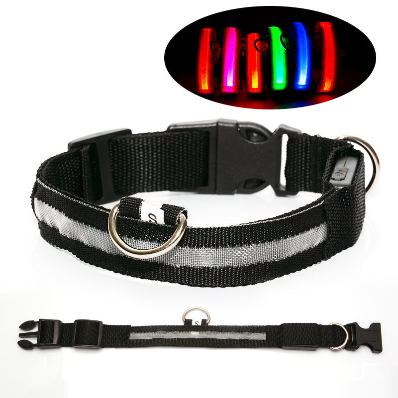 Hunde-LED-Halsband – Sicherheit und Stil für Ihren Vierbeiner