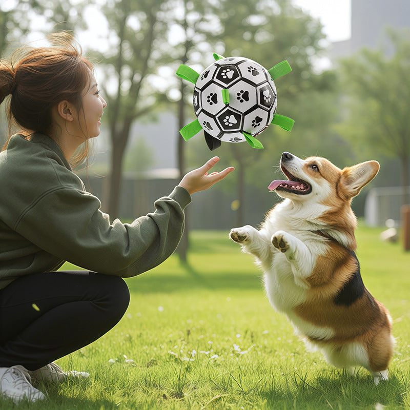 Hundespielzeugball