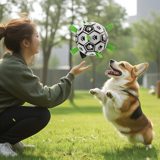 Hundespielzeugball