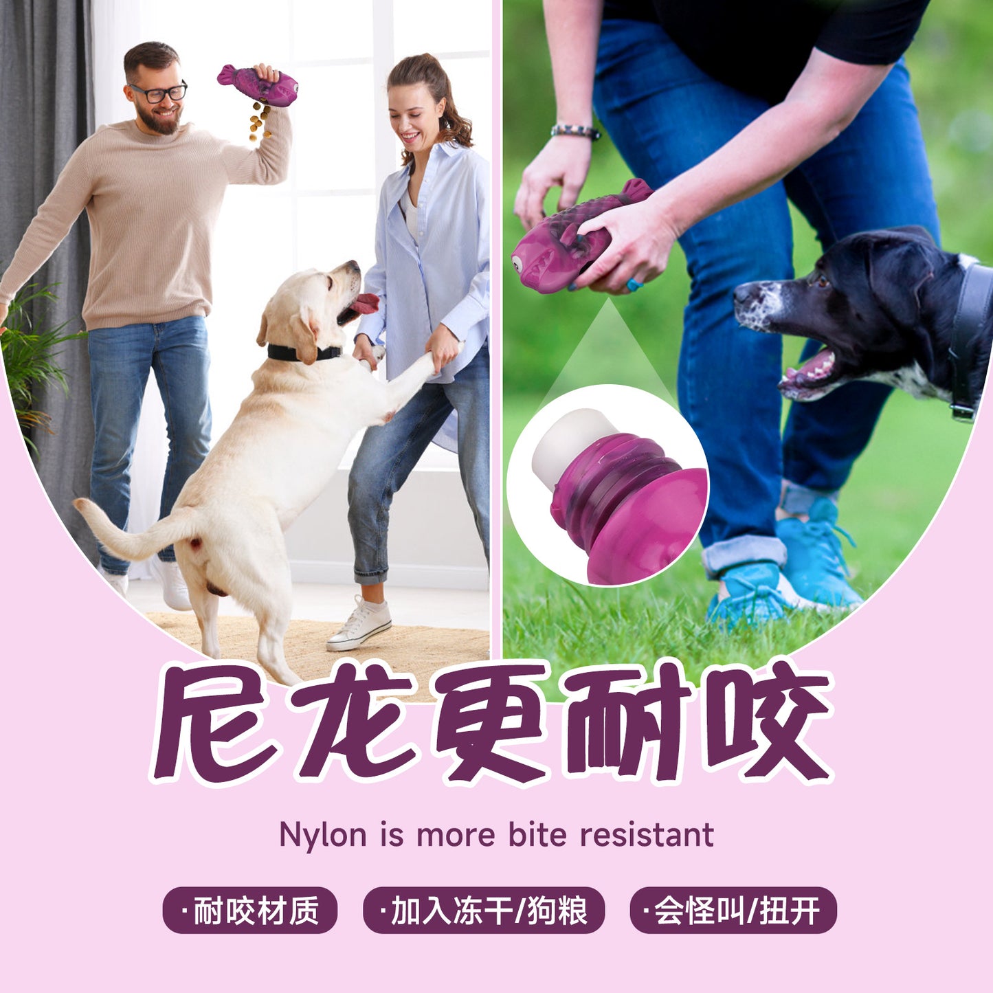 Hundefutter-Leckspielzeug – Unzerstörbarer Spielspaß für Ihren Hund