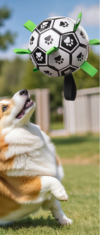 Hundespielzeugball