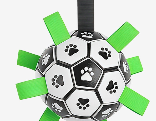 Hundespielzeugball