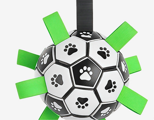 Hundespielzeugball