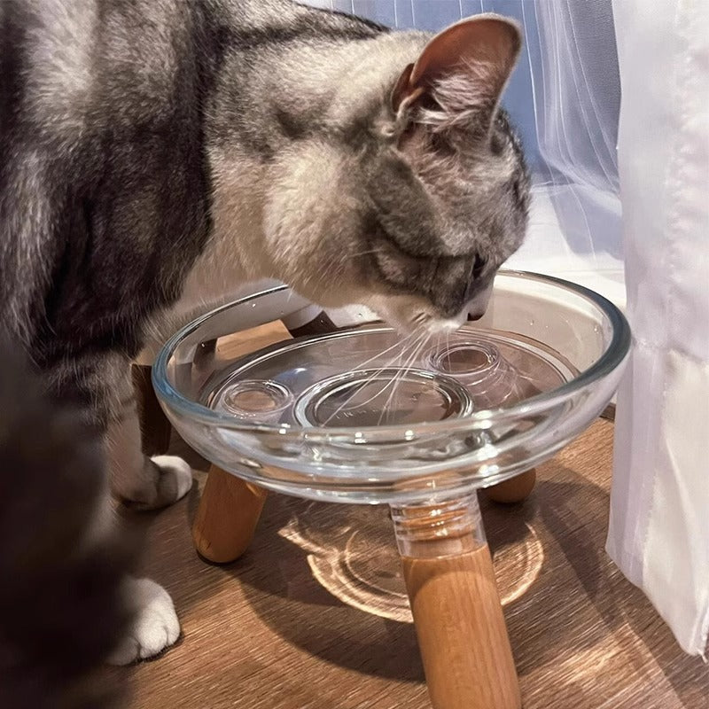 Verwöhnen Sie Ihre Haustiere mit unseren stilvollen Katzen- und Hundenäpfen