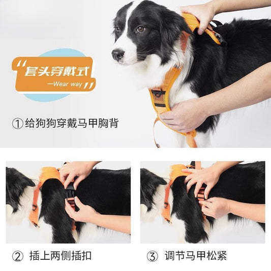 Revolutionäre Hunde-Sicherheitslösung: Integriertes Geschirr mit flexibler Rollleine!